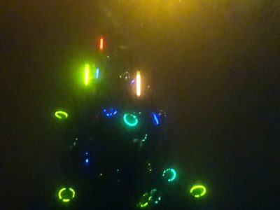 Kićenje božićnog drvca uz noćni zaron