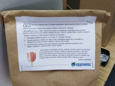 Najava: Zeleni kostrenski samanj i podjela lukovica tulipana