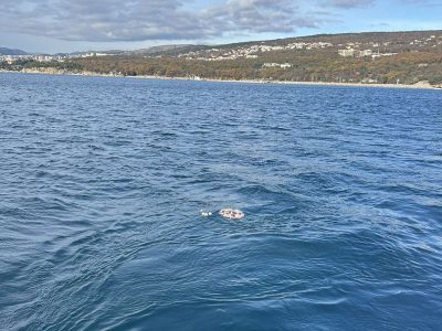 Prisjećanje na preminule i stradale pomorce
